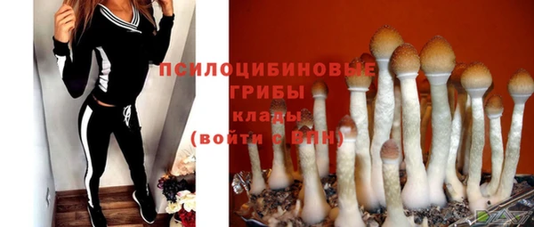 jwh Козельск