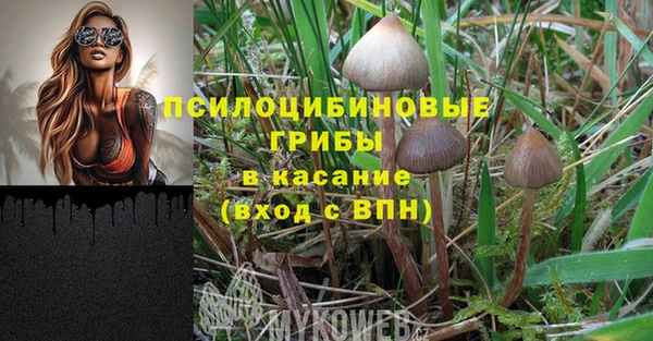 шишки Киренск